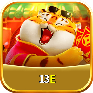 13E Logo