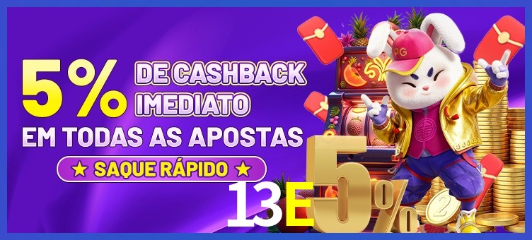 13E